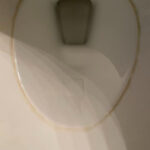 Keep Jasmine Plant in Your Room. Jasmine Can Reduce Anxiety, Panic Attacks, and Depression