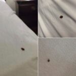 My Review of the Salt in My Socks Ritual