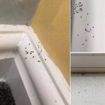 At what temperature should you wash your bed linen? Most people make this mistake!