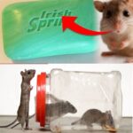 If You Ever See A Bag Filled With Water Nailed Above A Neighbor’s Front Door, Here’s What It Means…