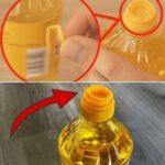 If you see strange black dots in your kitchen, it’s important to understand what they could signify.