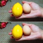 Most people think this space underneath the stairs is dead. Here’s the right way to use it