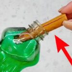 8 Smart Strategies to Keep Your Indoor Plants Hydrated During Your Vacations or Holidays