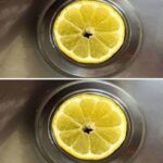 The Surprising Benefits of Laurel in the Washing Machine: A Natural Approach to Impeccable Laundry