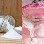 The Healing Power of Mimosa Pudica: 10 Health Benefits and How to Use This Amazing Plant