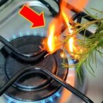 Mix 1 Lemon with 1 Tablespoon of Olive Oil and You Will Use It for the Rest of Your Life: The Incredible Benefits You Didn’t Know About