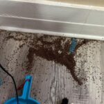 Gourmet Chocolate Peanut Butter Cups Recipe