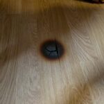 Why Older Daughters Often Become the ‘Family Manager’