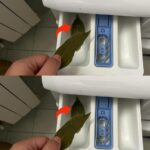 Almost all freezers have this “secret” element. That’s why it needs to be used once every 3 months