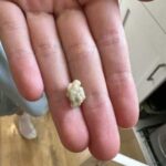 She left three sponges in the REFRIGERATOR, but what happened after a few days amazed everyone