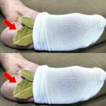 15 top gardening hacks