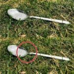 Woman spotted something bizarre in woods while out for a walk. She finally found out the truth