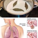 Don’t throw away these small packets: they can save you a lot of money