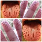 Recipe for the perfect lemonade, it contains no sugar!