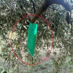 Not everyone understands this