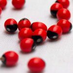 What is this? Found this odd “table” at a friend’s family house