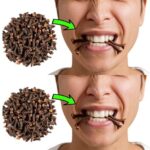 Never Throw Away the Oil Barrel Handle! Here’s Why It’s a Secret Weapon in the Kitchen