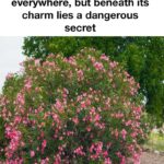 I discovered something strange on my bathroom floor, and the truth behind this finding deeply surprised me