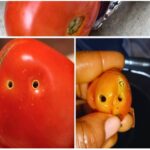 If You See a Plastic Bottle on Your Car Tire, You Might Want to Call 911 — Here’s Why