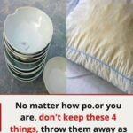 Hands down, one of the best party appetizers ever