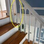 The Hidden Dangers of Vaping: What New Studies Reveal