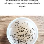 Do You Often Break Glasses at Home? Here’s What It Could Mean