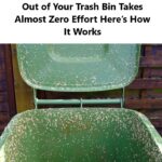 If You Notice These Mysterious Black Dots in Your Kitchen, Read This