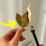 This is the first time I’m hearing of this