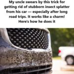 What Are These Mysterious Red Capsules Found on the Bed?