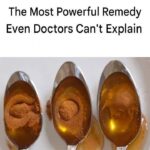 Peace Lily Miracle: One Natural Ingredient That Makes It Bloom for Up to 10 Years Straight