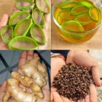 7 plants that grow and bloom in water, no need to use soil.