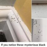 That Tiny Hole Above Your Sink? It Could Save Your Bathroom (and Wallet)