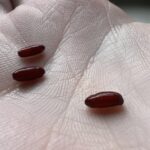 The Road Trip Hack That Actually Works: Say Goodbye to Insect Splatter on Your Car