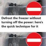 Colon Detox Juice: Apples, Ginger, and Lemon to Flush Out Toxins