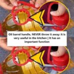 Chewing Cloves Daily? Here’s Why You NEED to Start Now!