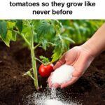 I didn’t know this! Grabbing some now!