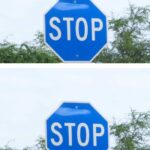 Whitening Teeth Naturally with Bay Leaves and Cloves: A Dental Tip