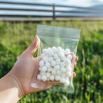 What Are These Mysterious Red Capsules Found on the Bed?