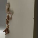 Oh dear, I do many of these things!