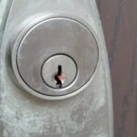 Chewing Cloves Daily? Here’s Why You NEED to Start Now!