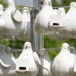 If You Come Across This Plant, Don’t Ever Touch It