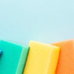 The Ultimate Guide to When to Plant Vegetables and Why (Your Seasonal Planting Calendar Explained)