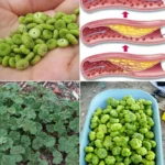 Marble-Based Watering Spot for Bees