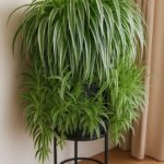 She knew what she was doing