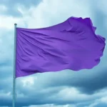 DIY Wattle Raised Garden Bed: Eco-Friendly & Rustic Backyard Project