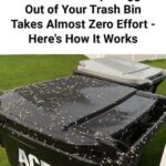 The Secret Behind This Grave’s Unusual Design