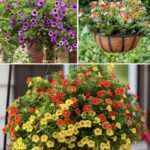 You’re doing it all wrong. Here’s the right way to prune your veggies and fruits and get a massive harvest