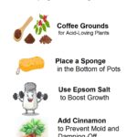 What’s The Secret Behind These Walking, Talking Attractions?