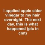 Stop Buying the Wrong Oranges: The Secret of the Orange Navel That Affects Sweetness and Juice Content