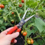 A Small Brass Find with a Huge Surprise Inside